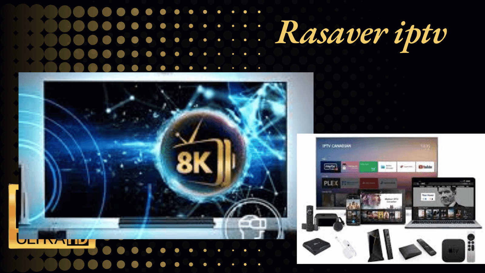 Rasaver iptv